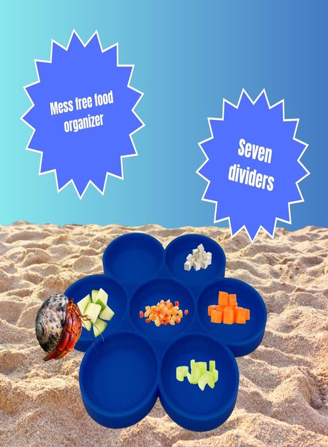 Chatelet Hermit Crab Feeder Dish | 7 Tray Dish for Crab or Snail Feeding | Mix & Match Crab Food | Made in USA (Blue, Circle) - Image 3